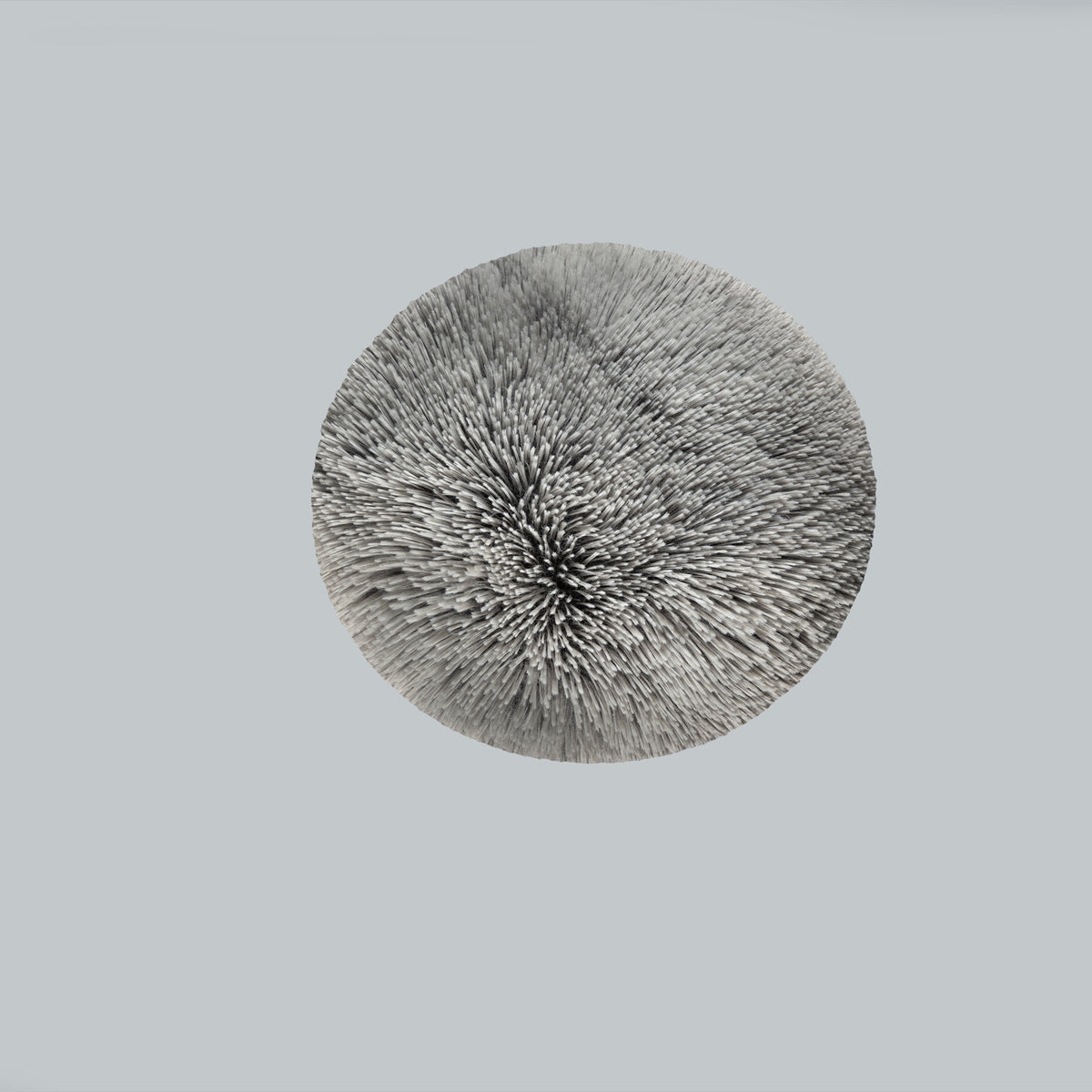 Cojín Everest Barrow UNI